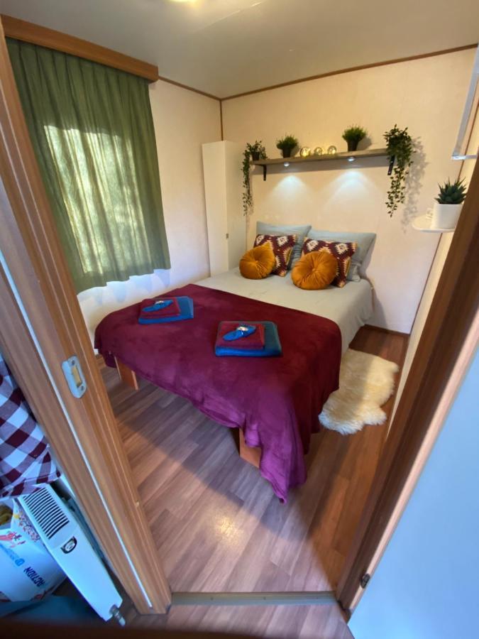 Villa Gezellige Chalet In Bosrijke Omgeving à Anloo Extérieur photo